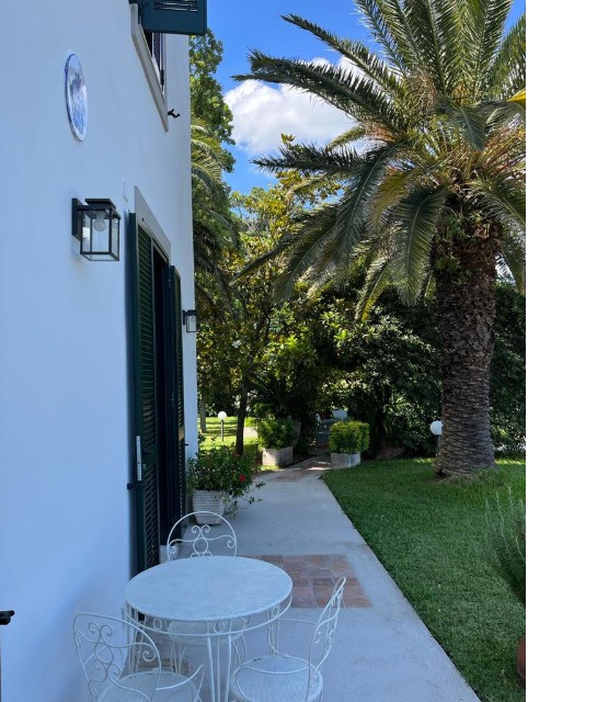 Facciata della villa con tavolino bianco, palme e giardino