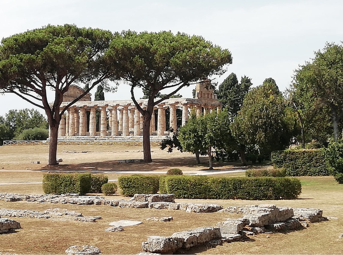 Templi greci di Paestum tra pini mediterranei e rovine archeologiche